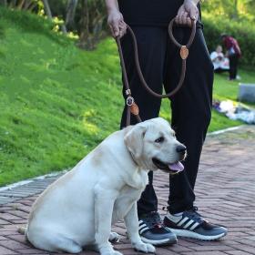 Dog leash